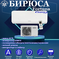 Fortuna Inverter